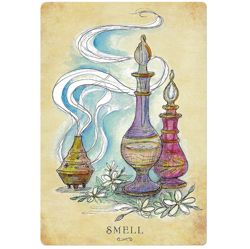 Anatomy of a Witch Oracle Cards